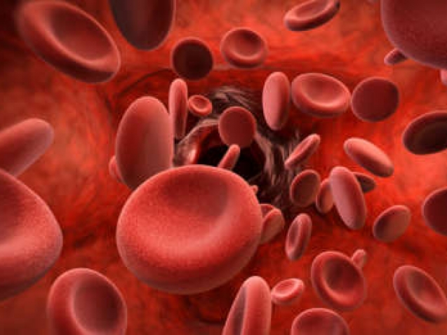 3d rendering red blood cells in vein