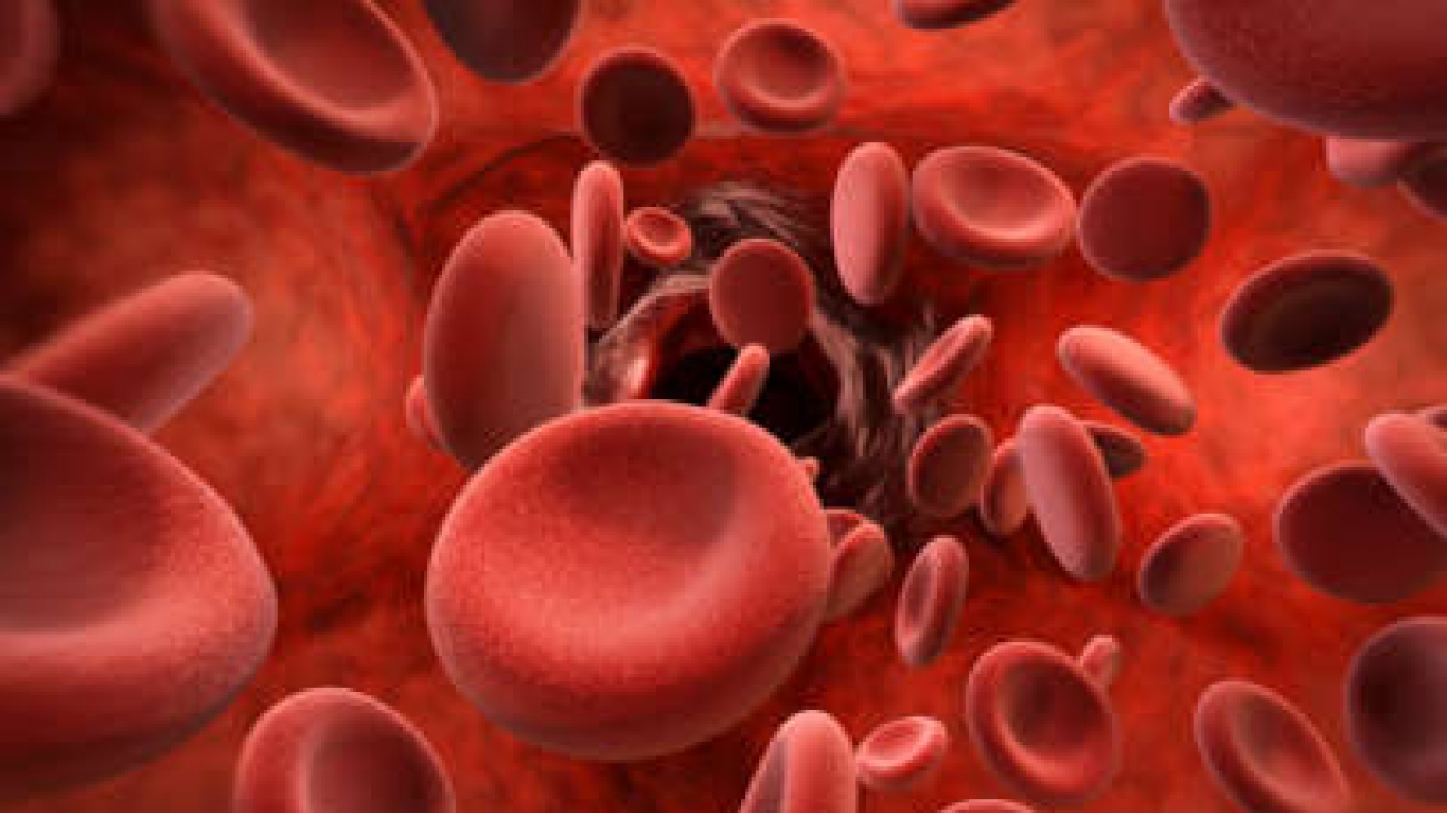 3d rendering red blood cells in vein