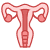 icons8-uterus-50